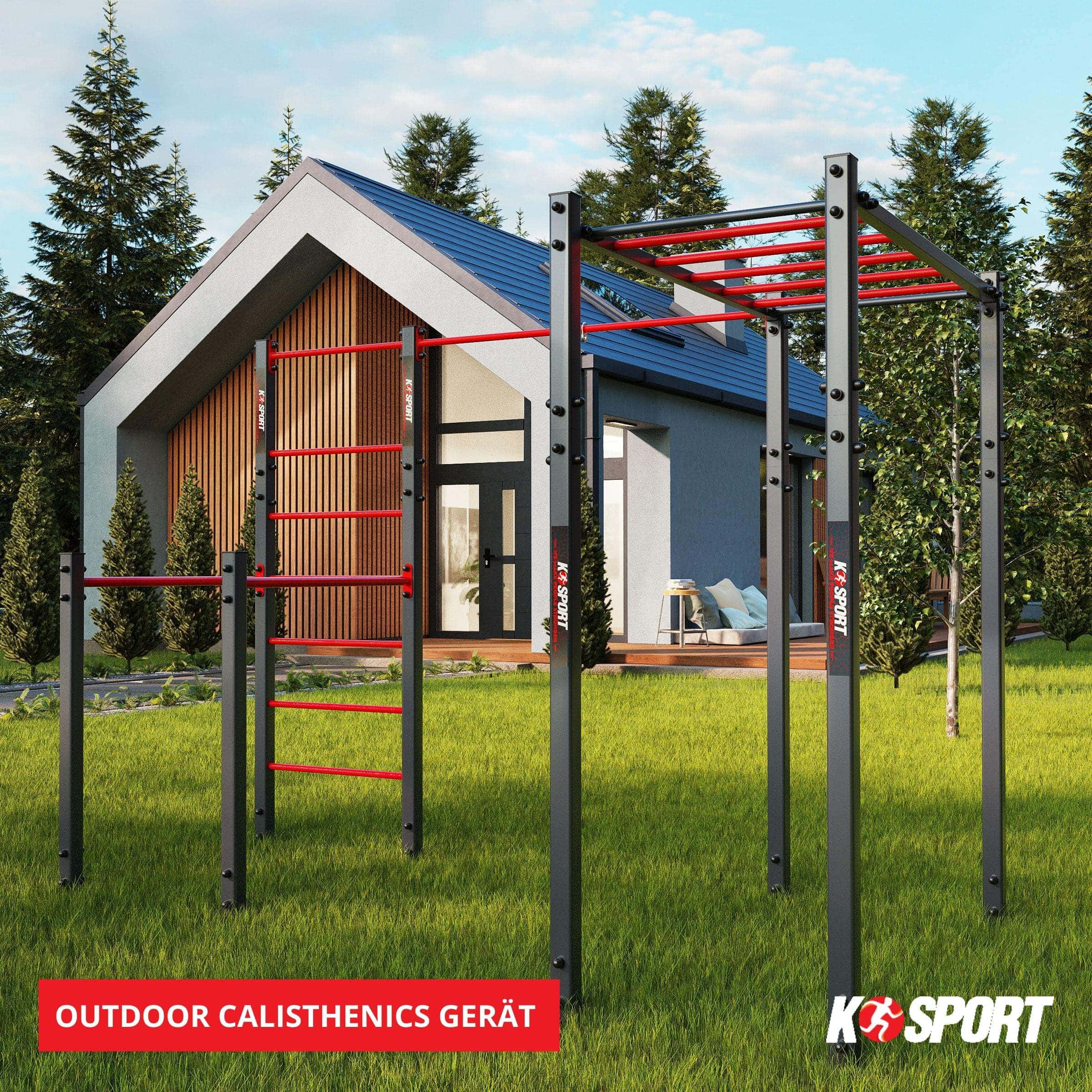 Outdoor Calisthenics Gerat mit Sprossenwand und Hangelleiter