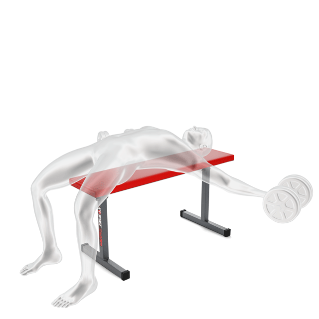 Übungen Trainingsbank/Flachbank für Langhantelständer