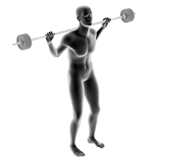 Dummy mit Langhantel - Ausfallschritte mit der Langhantel