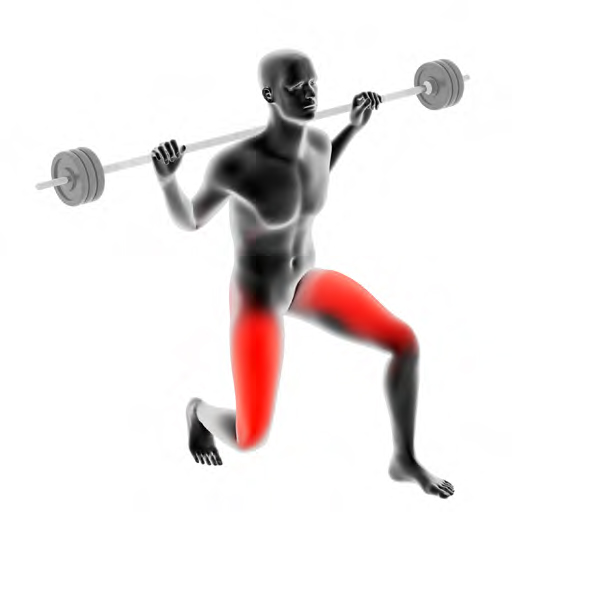 Dummy mit Langhantel - Ausfallschritte mit der Langhantel