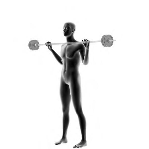 Dummy an Langhantel - Schulterdruecken
