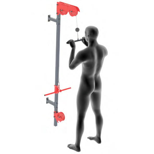 Dummy an Kabelzug - Klassisches Trizepsdruecken