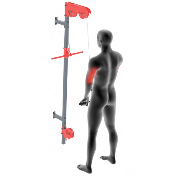 Dummy an Kabelzug - Klassisches Trizepsdruecken