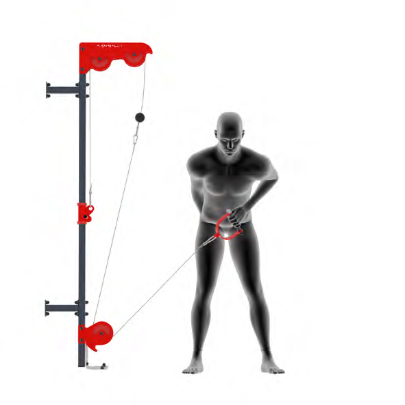 Dummy an Kabelzug - Vorgebeugtes Seitheben am Kabelzug