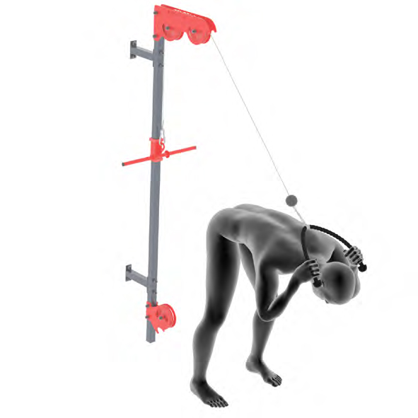 Dummy an Kabelzug - Crunches am Kabelzug