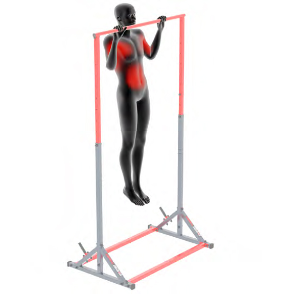 Dummy an der Klimmzugstange - Schulterbreite Klimmzuege an der Stange