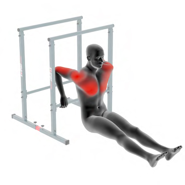 Dummy an Barren - Arnold Dips