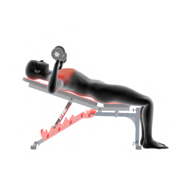 Dummy auf Trainingsbank - Schraegbankdruecken mit Kurzhanteln