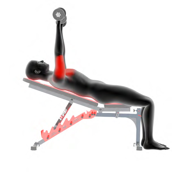 Dummy auf Trainingsbank - Schraegbankdruecken mit Kurzhanteln