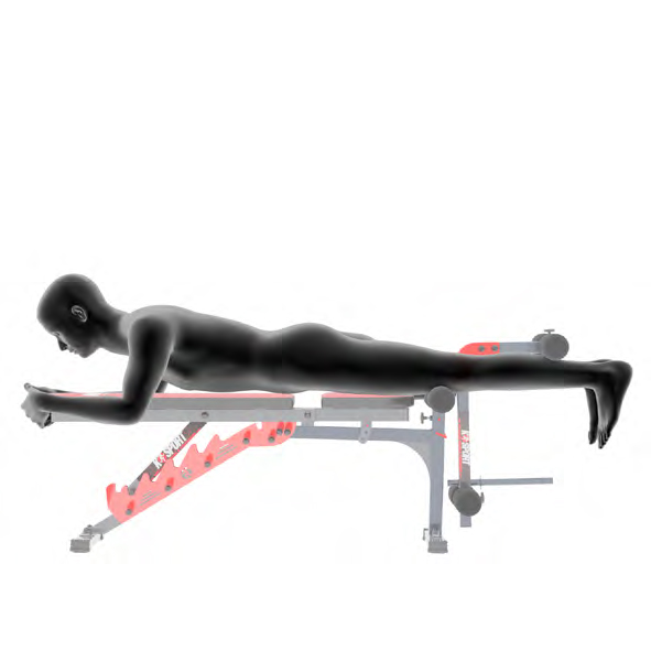 Dummy liegend auf Trainingsbank - Beinbeugen am Geraet