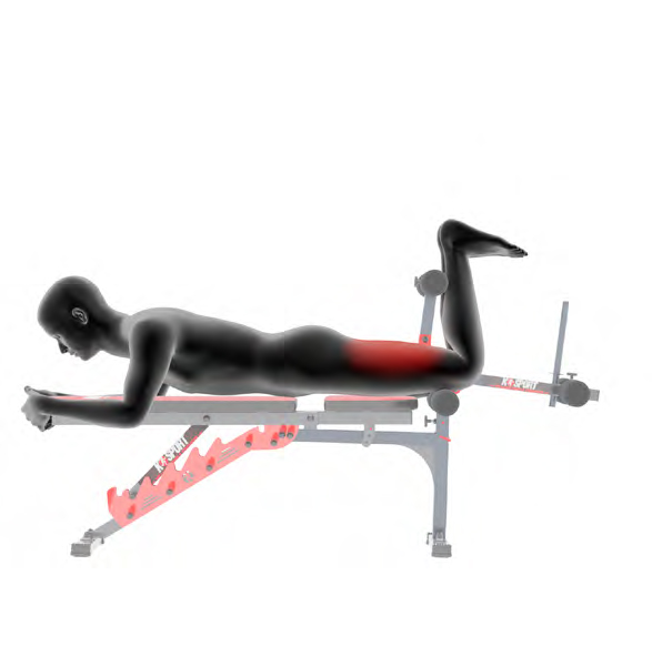 Dummy liegend auf Trainingsbank - Beinbeugen am Geraet