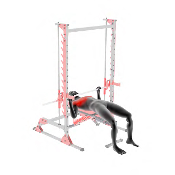 Dummy auf Smith Machine - Bankdruecken an der Smith Machine