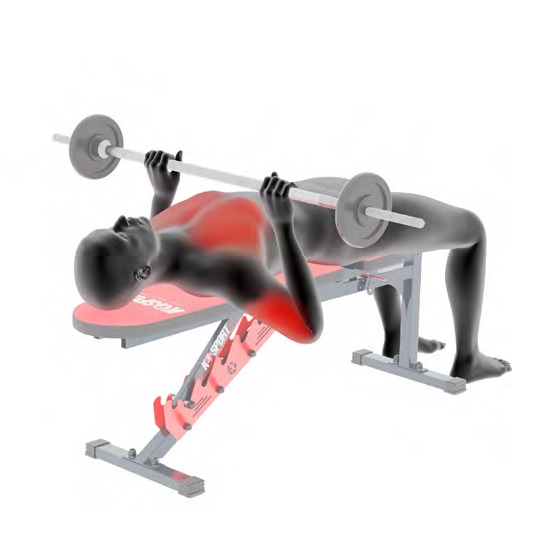 Una persona esegue un esercizio di bench press con il bilanciere su una panca inclinata, l'indicatore rosso mostra l'attivazione del muscolo.