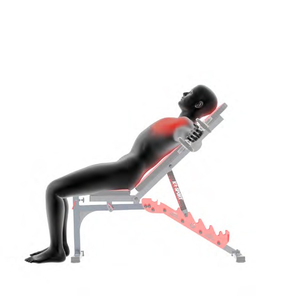 La personne effectue un exercice d'haltères courts sur un banc incliné avec des repères rouges pour activer les muscles.