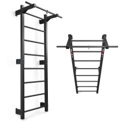 Barras metálicas de fitness con barra de dominadas