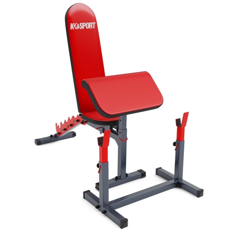 Ensemble d'entraînement avec banc de musculation / banc incliné + support pour haltères longs + curlpult