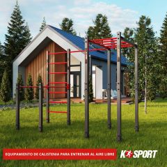 Equipamiento de calistenia para entrenar al aire libre con espaldera y escalera horizontal