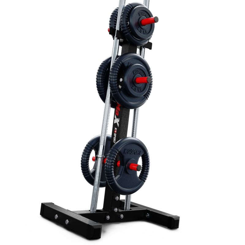 Soporte para discos de pesas vertical