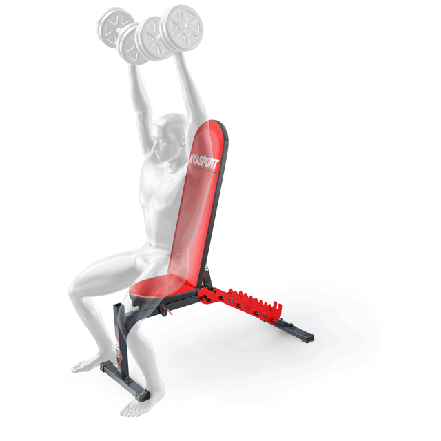 Exercices sur le banc d'haltérophilie