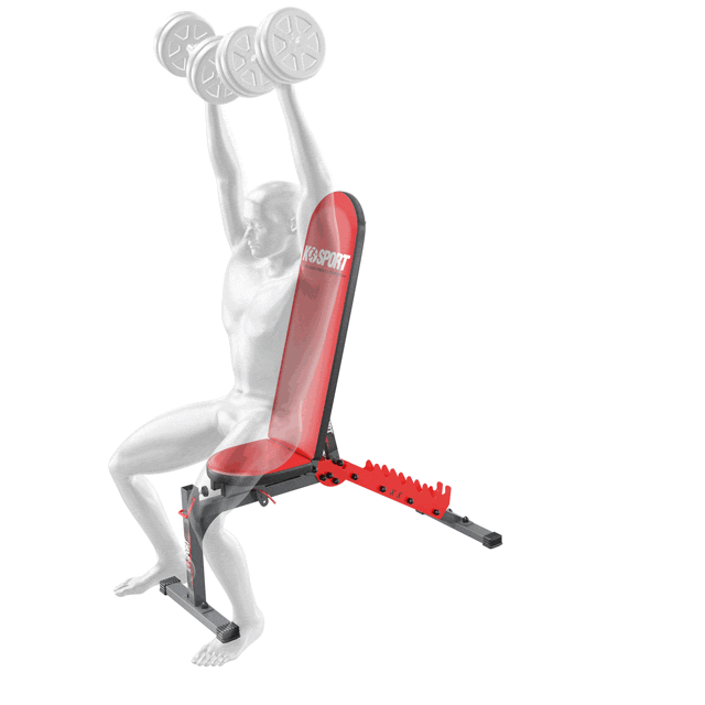 Ejercicios para banco musculación extensión de piernas y curl