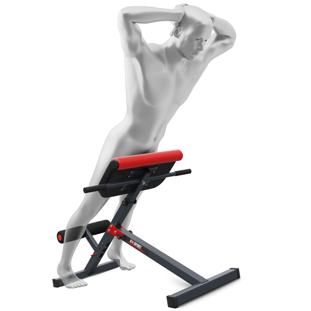 Rugtrainer