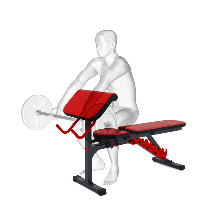 Ejercicios con soporte curl para banco de entrenamiento