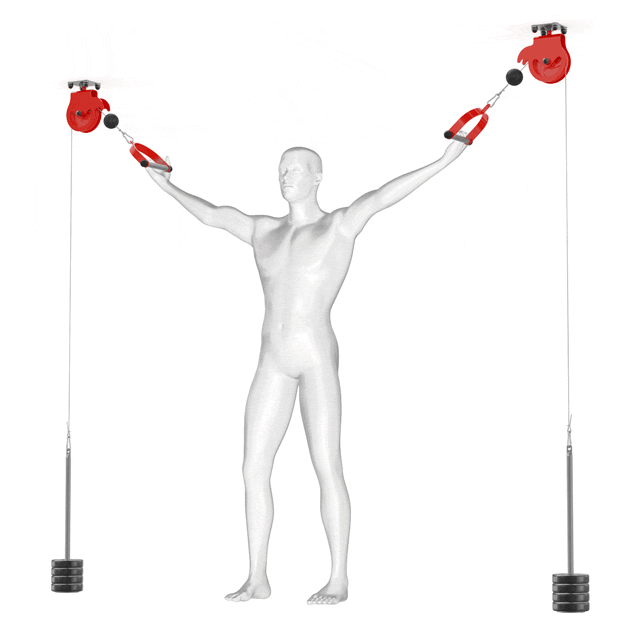 Ejercicios para 2 jalones giratorios de cable con soporte para montar en el techo
