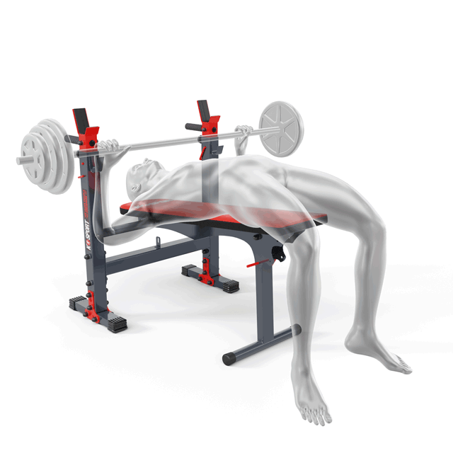 Ejercicios para banco de entrenamiento