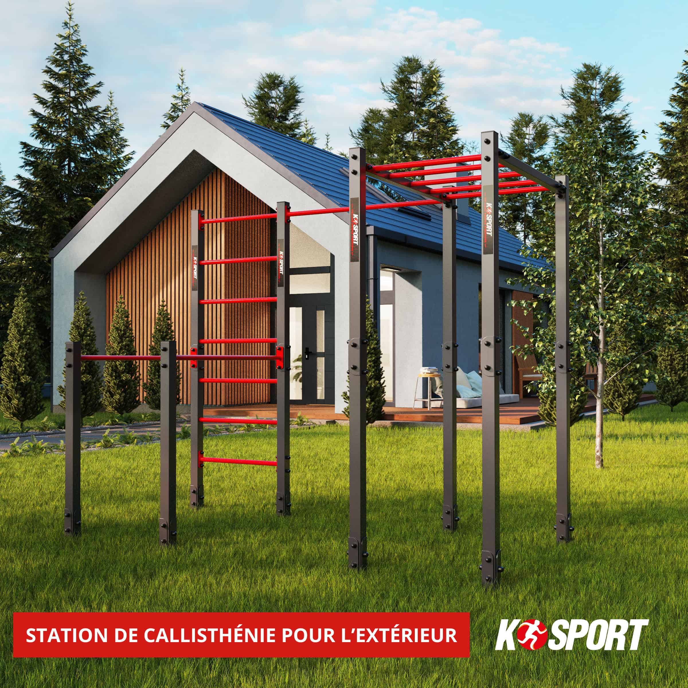 Station de calisthénie extérieure avec monkey bars et espalier