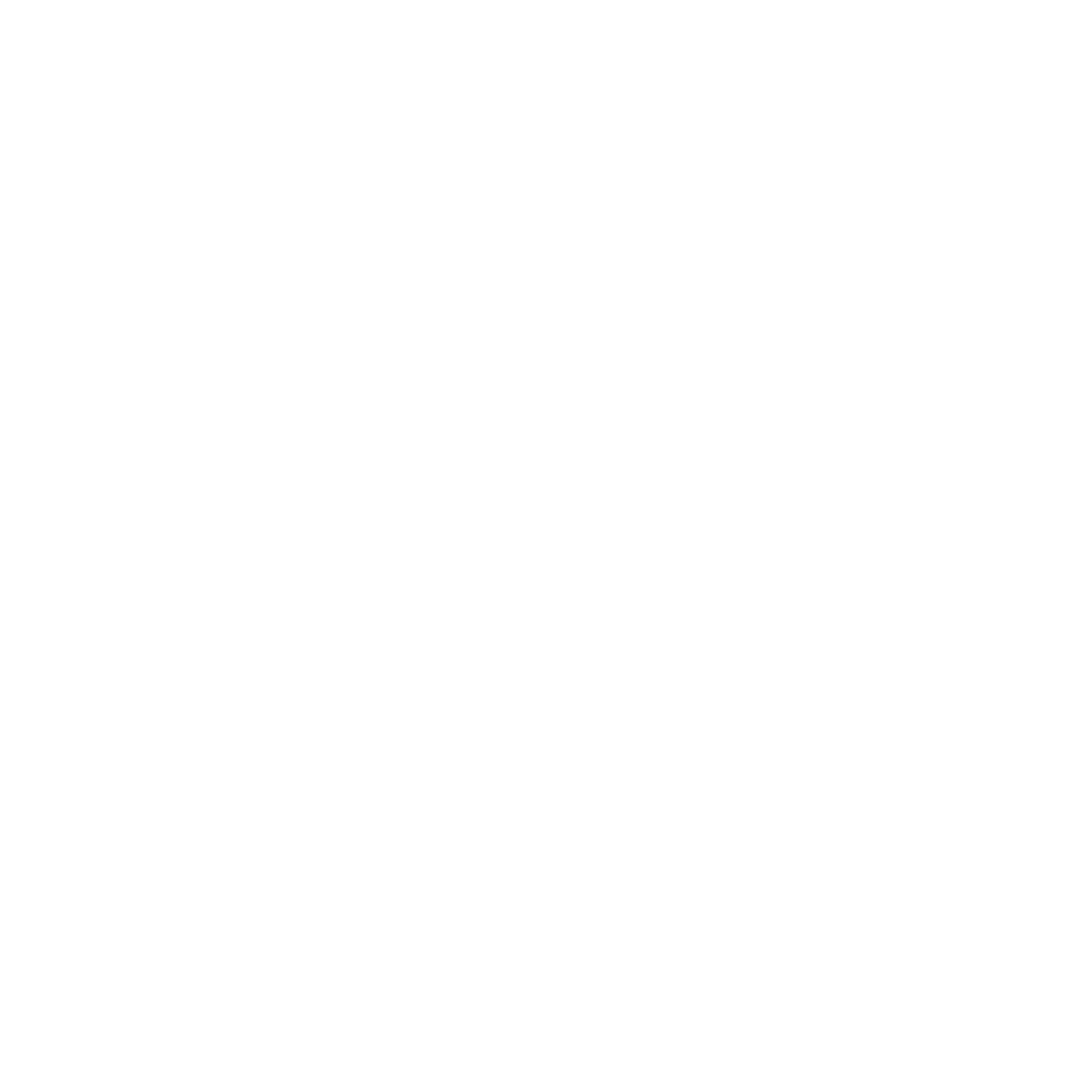 Données techniques - Appareil de calisthénie extérieur avec espalier et échelle de suspension
