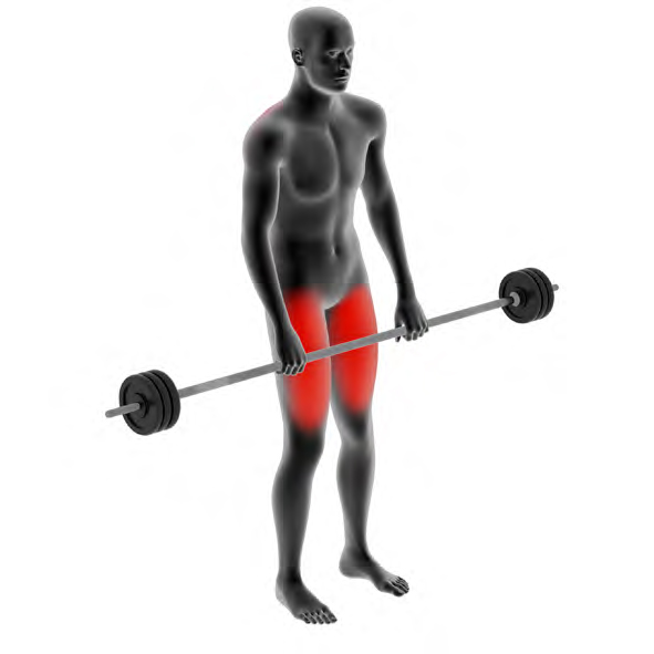 Mannequin avec une barre de musculation - Soulevé de terre classique