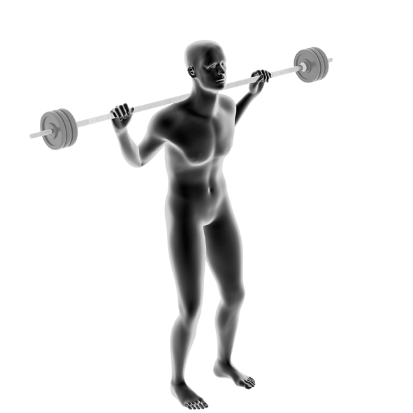 Modèle avec une barre longue - Squats classiques