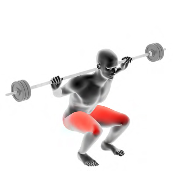 Modèle avec une barre longue - Squats classiques