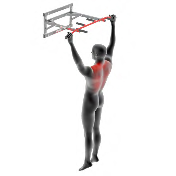 Mannequin sur la barre de traction - Tirage scapulaire