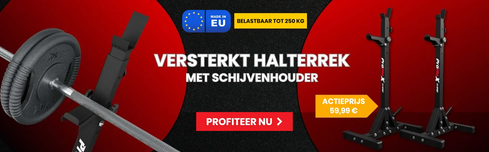 Nederlands - Vlaams Banner 1
